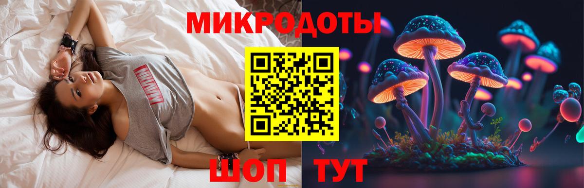 Псилоцибиновые грибы Cubensis Лесной