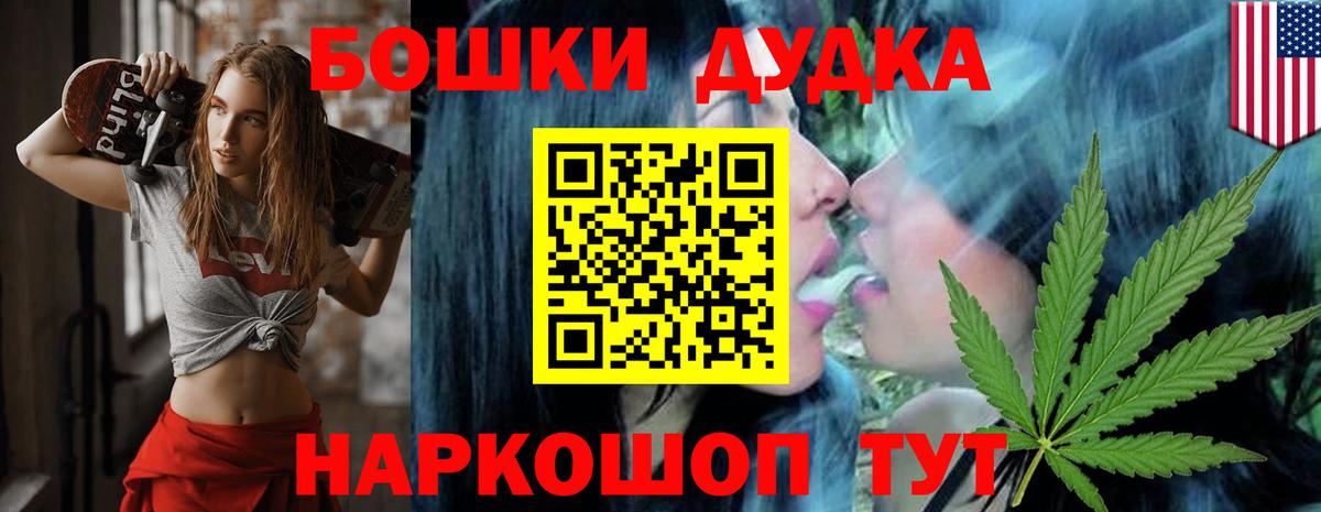 Конопля планчик Лесной